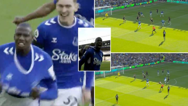 Abdoulaye Doucoure smashed in a stunning strike, it could be the goal that keeps Everton in the Premier League