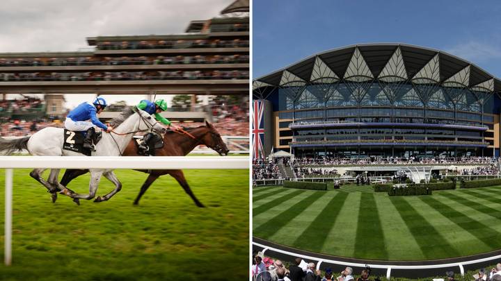 Everything you need to know as Royal Ascot continues to take centre stage