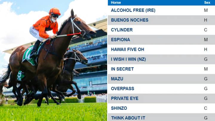 We’ve assessed every horse running in TAB Everest simply by their name