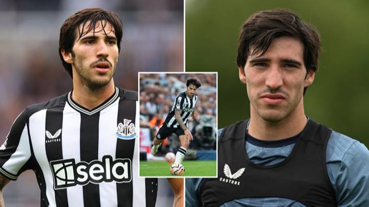Newcastle star Sandro Tonali facing severe punishment if he's found guilty  in illegal betting probe