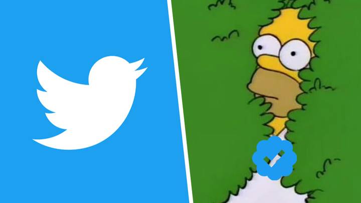 Twitter Blue subscribers are being shamed into hiding the tick they paid for