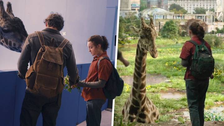 The Last Of Us: Bella Ramsey calls giraffe scene a 'spiritual experience'