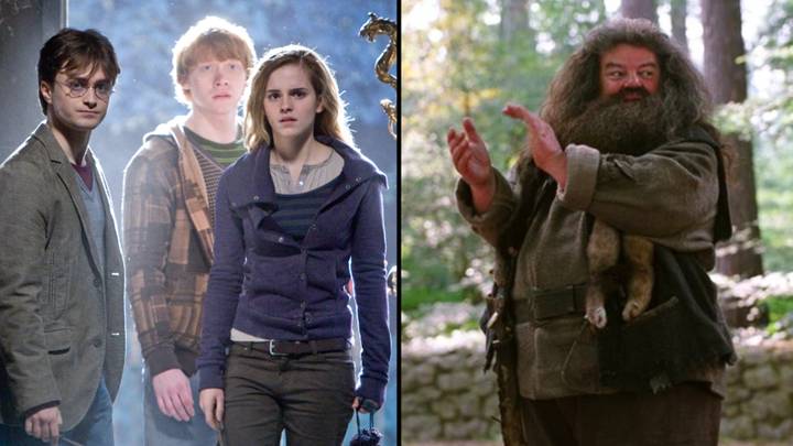 Fans aren't happy about new actors playing the iconic characters in Harry Potter TV show