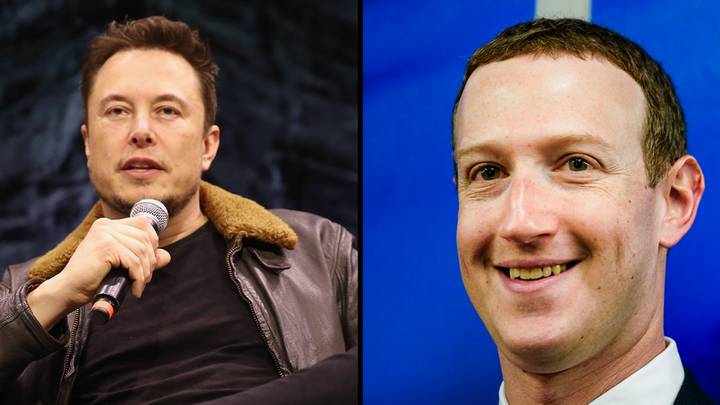 Elon Musk confirms Meta will livestream his fight with Mark Zuckerberg and it will happen in Italy