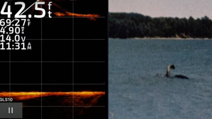 Breakthrough in search for America's 'Loch Ness monster' as giant 20ft creature captured on sonar