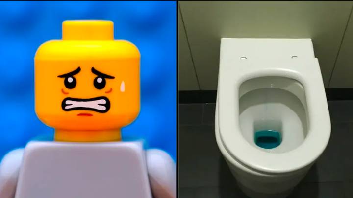 Six scientists swallow lego heads to see how long it takes to poo them out