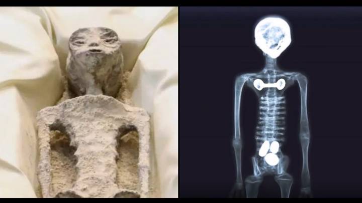 Disturbing 'truth' behind 'alien bodies' unveiled to Mexican government after they were x-rayed