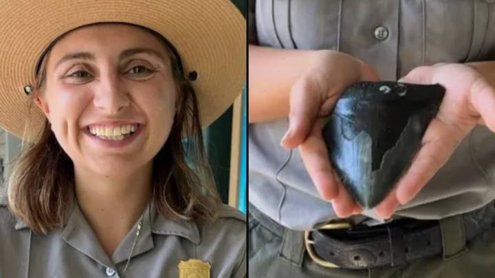 Massive megalodon tooth found by mum and son on beach