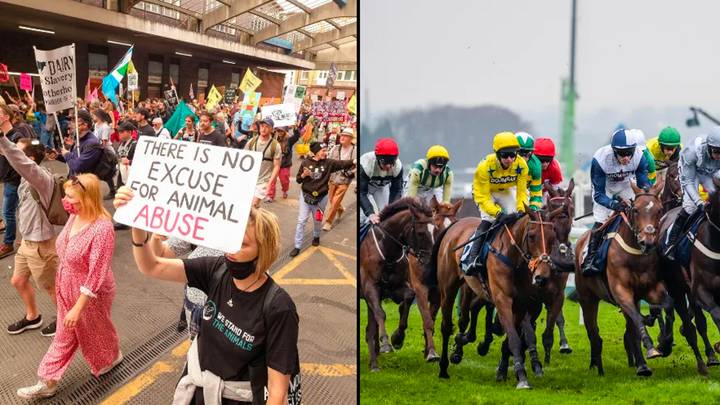 Vegan mob's plot to sabotage the Grand National has been exposed