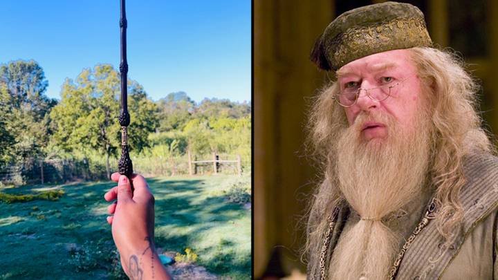 Harry Potter fans are raising their wands in the sky following the death of Michael Gambon