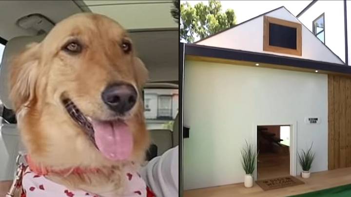 Man builds 'dream house' for his dog that cost $20,000 and includes mini-fridge
