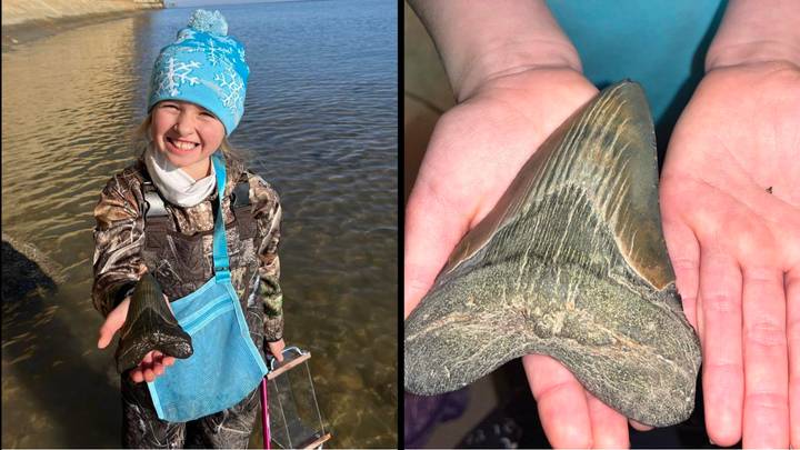 Aspiring palaeontologist discovers shark tooth that's millions of years old while scouring beach