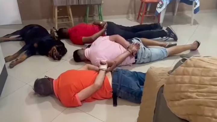 Guard Dog Completely Fails At Job By Lying Down Next To Drug Gang During Raid