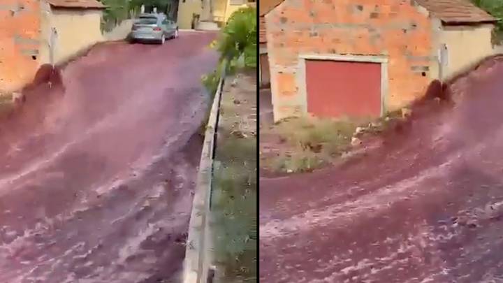 River of red wine runs through town after tank bursts at distillery