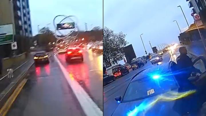 Cyclist yells 'get out of the f*****g way' to car in bus lane, turns out to be unmarked police car