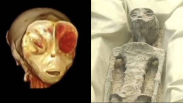Mexican government released 'X-ray scans' of two 'alien bodies' it has in its possession
