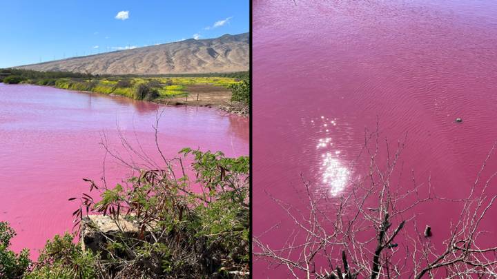Tourists issued warning after popular pond turns bright pink and sparks disturbing theory