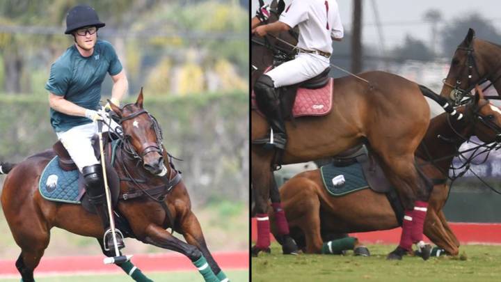 Prince Harry Falls Off Horse During Polo Match
