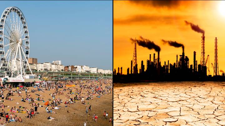 Climate expert has a grim warning amid UK's latest heatwave
