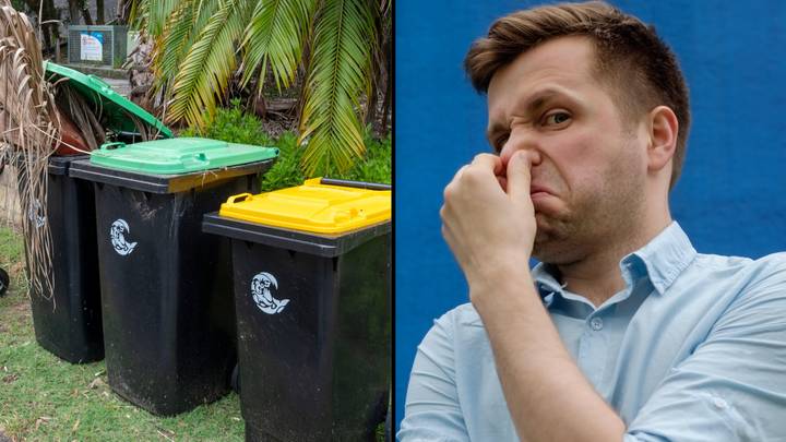 Australian council will fine homeowners $5,000 for having a smelly bin