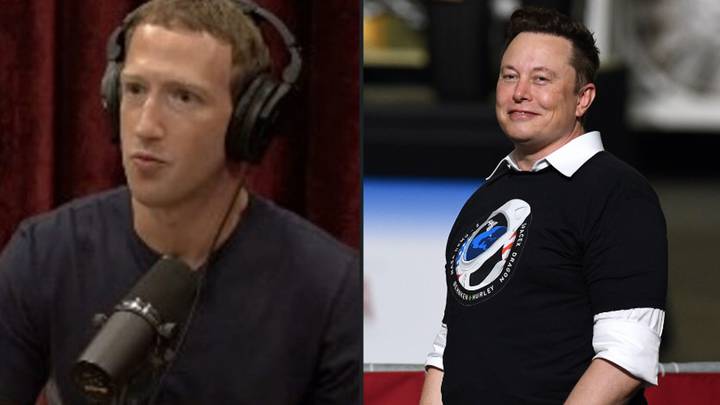 Mark Zuckerberg rips into Elon Musk's plans for the Neuralink brain chip