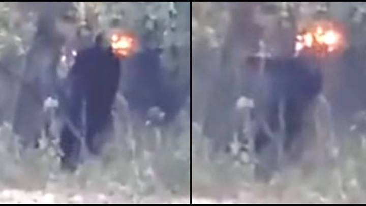 'New Bigfoot footage' shows sheer size of beast in close-up sighting
