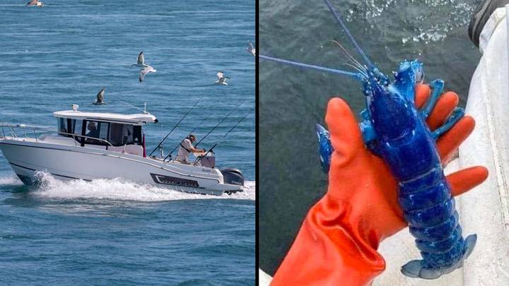 Man Catches 'One In Two Million' Blue Lobster