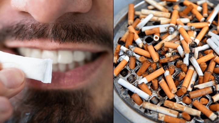 Does Geek Bars Have Nicotine How Many Packs Of Cigarettes Are In A Geek Bar - Oreate AI Blog Are In A Raz Does Geek Bars Have Nicotine How Many Packs Of Cigarettes Are In A Geek Bar - Oreate AI Blog Are In A Raz