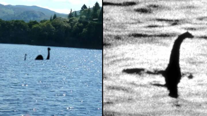 Professor indicates Loch Ness monster might have actually been whale's penis