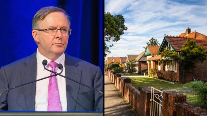 Anthony Albanese Says A Labor Government Will Cover Up To 40% Of Your First Home