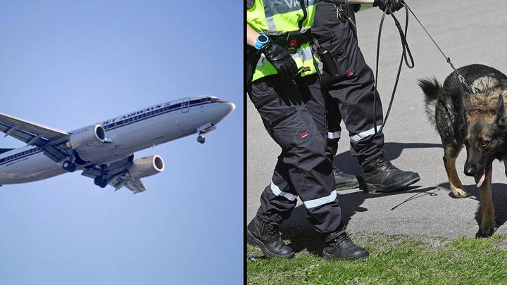 Man who was late for his flight called in bomb threat to try and delay the plane