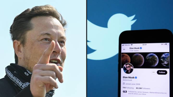 Several top executives at Twitter have been 'fired' after Elon Musk completed his takeover