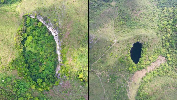 Massive sinkhole with ancient forest inside may contain undiscovered species