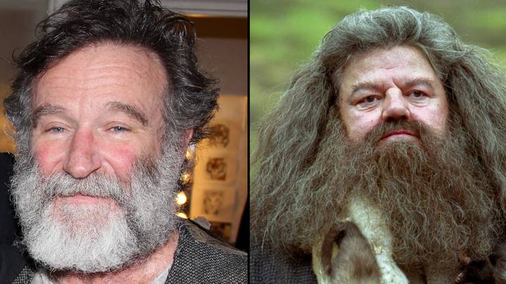 Robin Williams was turned down from playing Hagrid in Harry Potter due to J.K. Rowling rule