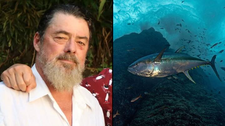 Fisherman missing at sea after he was dragged off his boat by tuna