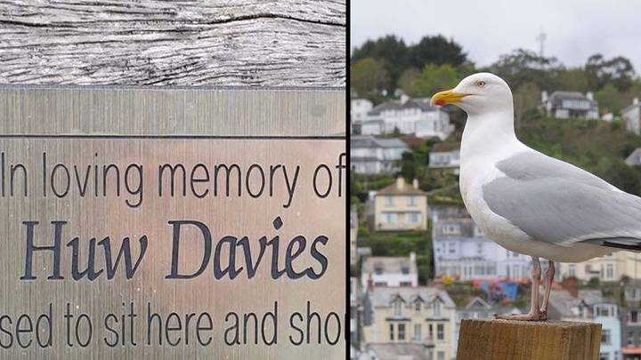 Rude Plaque For Man Who Hated Seagulls Removed By Officials