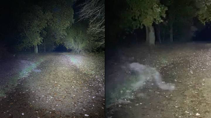 Dog walking couple spot 'demonic figure' stalking them in national trust park