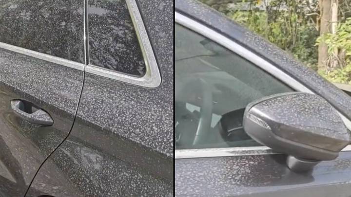 Drivers with layer of dust on car warned over ruining paintwork
