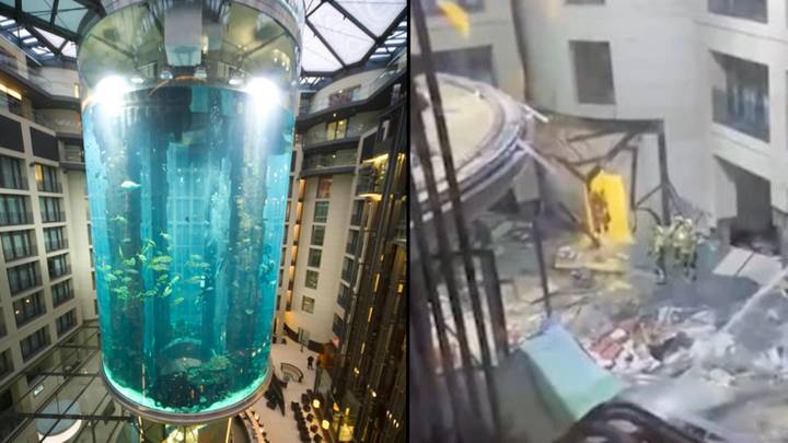 Huge aquarium in Radisson hotel containing 1,500 fish explodes into street