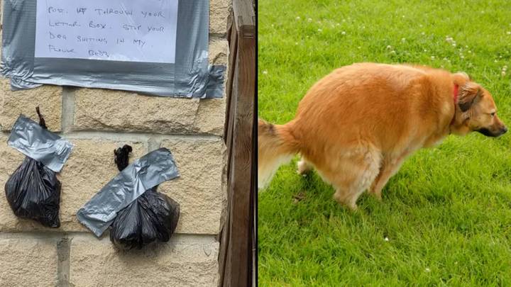 Furious neighbour tapes dog poo to wall in threat to owner who kept letting it s**t in their garden