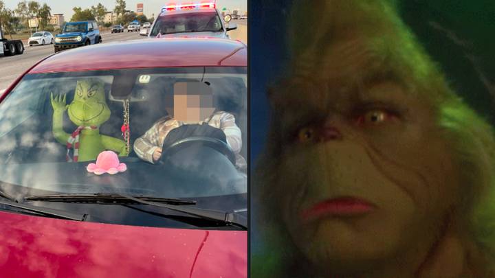 Man gets booked for trying to drive in a two-passenger lane with an inflatable Grinch
