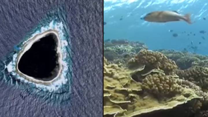 Earth Fish Map Giant Fish On Google Earth
