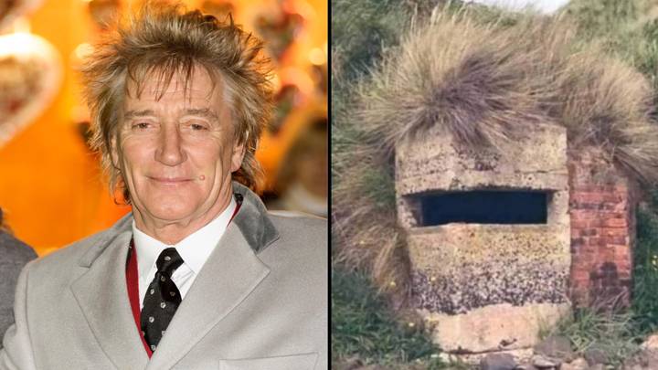 Rod Stewart hilariously responds to meme of bunker that looks just like him