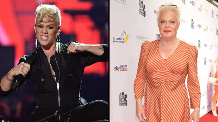 Pink perfectly shuts down troll who tried to use a photo of Eddie Izzard as an insult