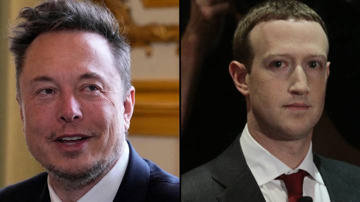 Elon Musk responds after parody account calls Mark Zuckerberg ‘lizard boy’