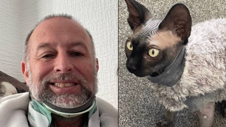 Man left with 'car crash injuries' after tripping over new pet kitten in freak incident