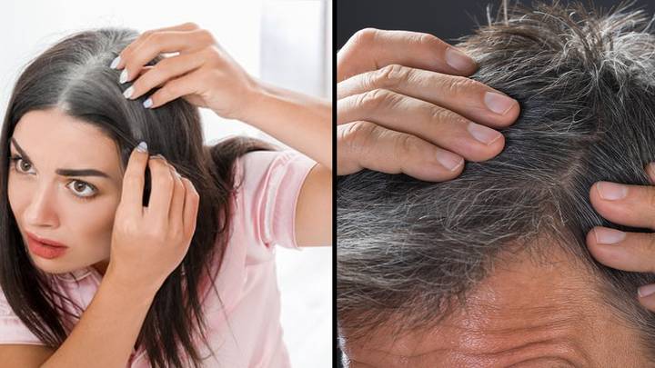 Scientists say they may have discovered a cure for grey hair