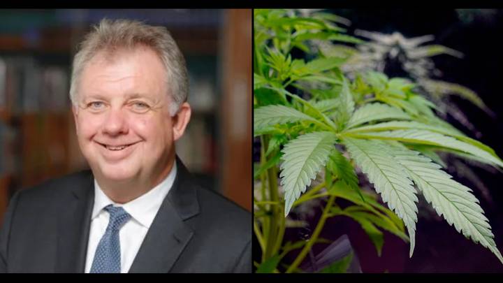 Police Commissioner says cannabis is as dangerous as heroin and crack cocaine