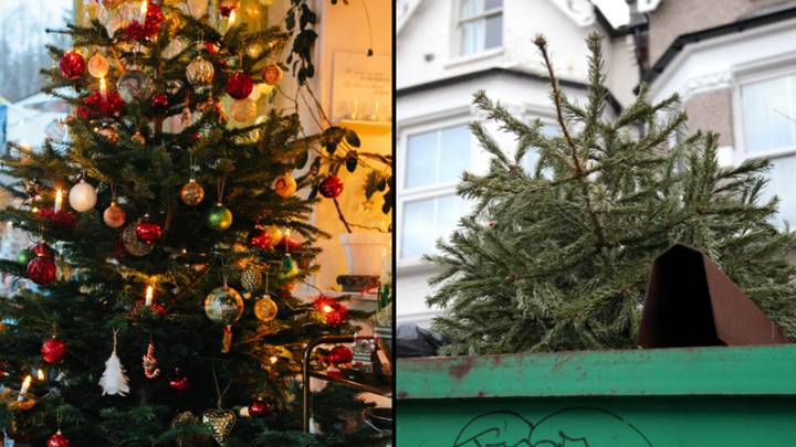 Woman sparks debate about best time to take down your Christmas decorations