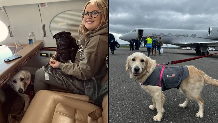 Woman flies her dogs to New York on £8k private jet as it was cheaper than putting them in cargo